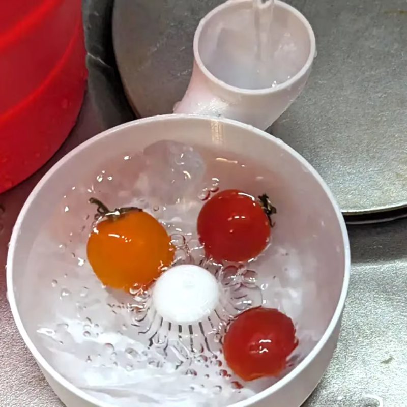 Fruit Spinner Portable Fruit W - 3D Printing In Food review and price