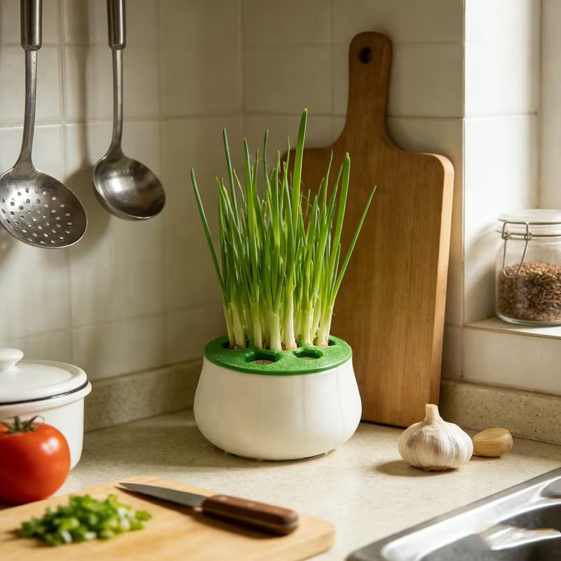 Green Onion Regeneration Plant - 3D Printing Online review and price