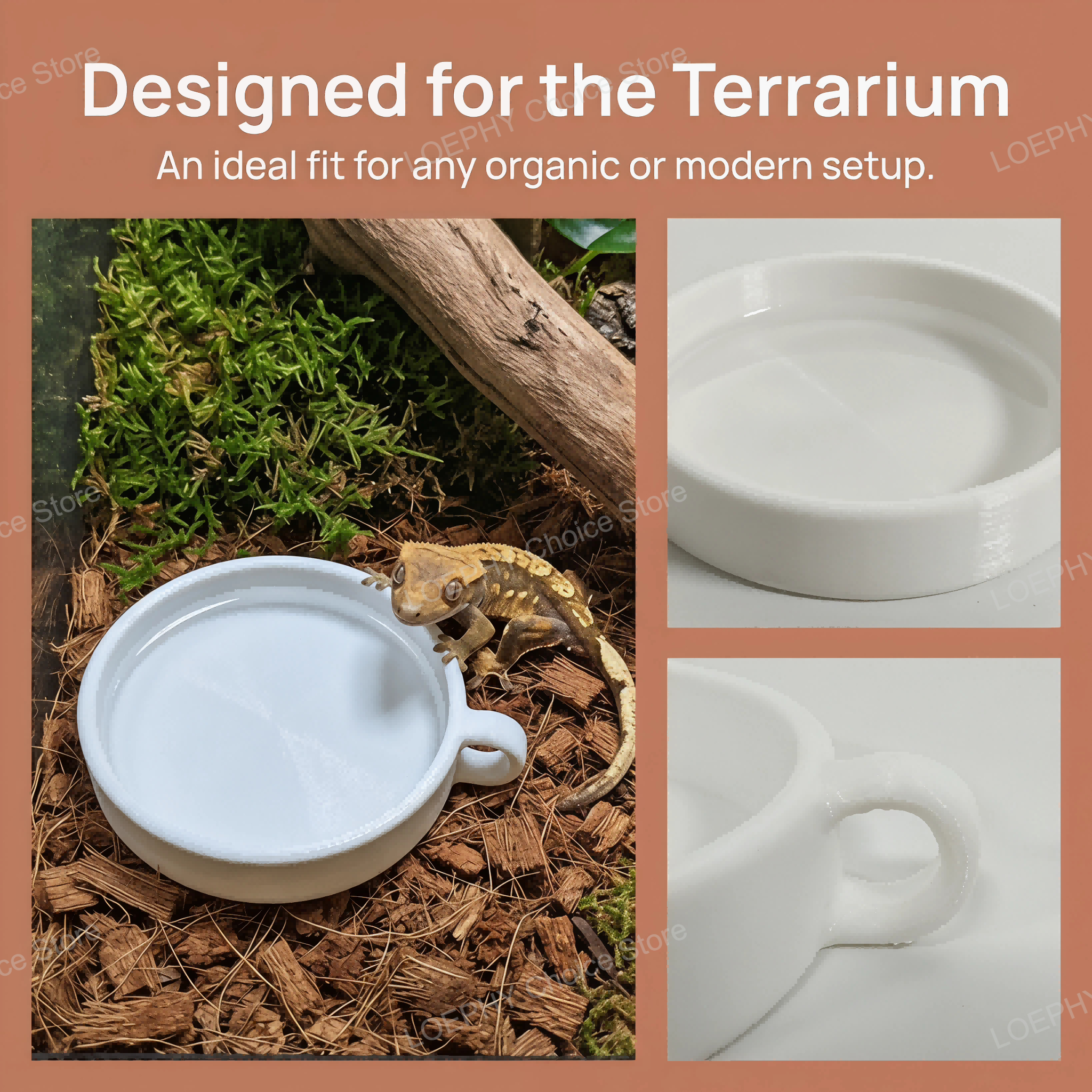 Reptile Desk Shelter Hideout 3 - 3D Printing In Food review and price